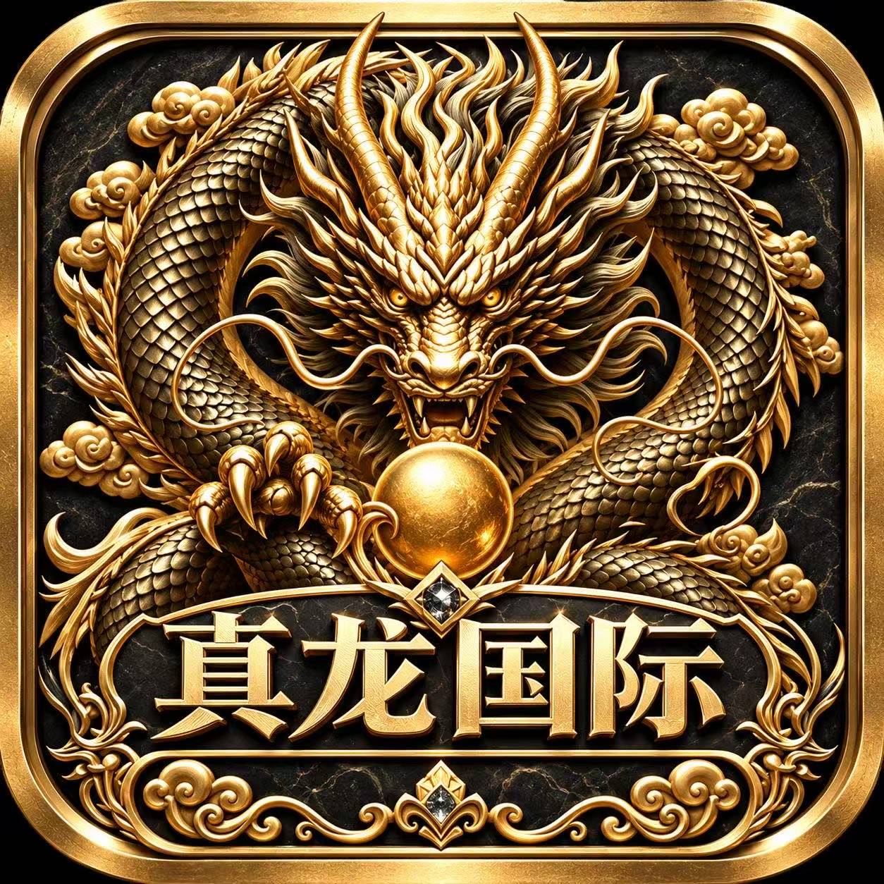 真龙国际